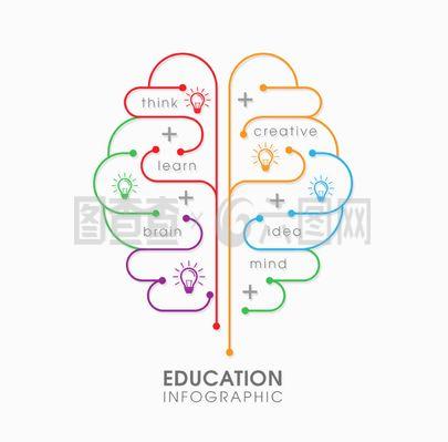 大腦教育信息圖